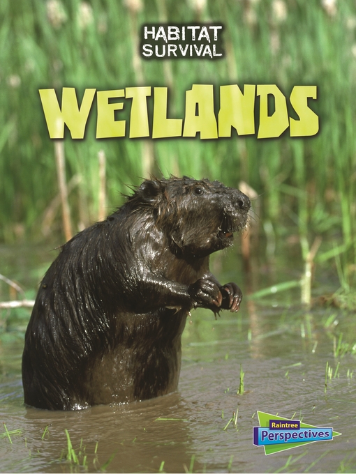 Title details for Wetlands by Buffy Silverman - Available